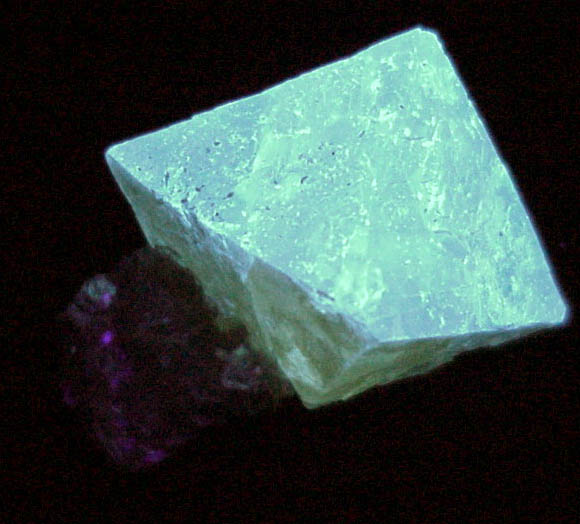 Scheelite on Muscovite from Xuebaoding Mountain near Pingwu, Sichuan Province, China