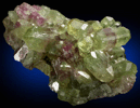 Vesuvianite from Jeffrey Mine, Asbestos, Qubec, Canada