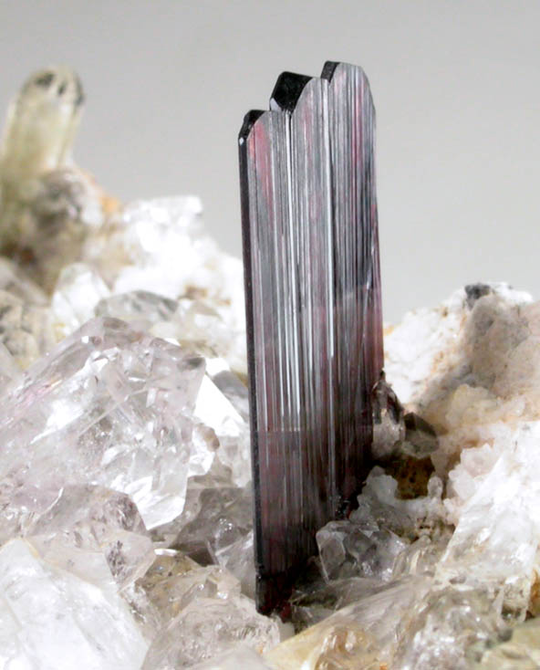 Brookite on Quartz from Kharan District, Baluchistan, Pakistan