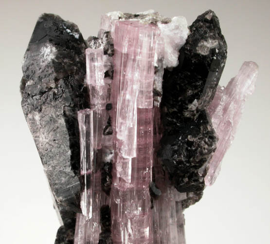 Elbaite and Smoky Quartz from Paprok, Kamdesh District, Nuristan Province, Afghanistan