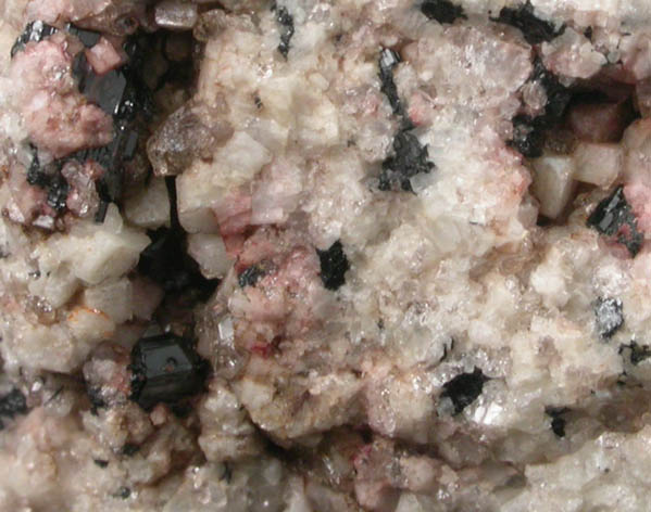 Dalyite from Near 5 mile post, Green Mountain, Ascension Island (Type Locality for Dalyite)