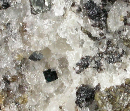 Latrappite from Oka complex, Deux-Montagnes County, Qubec, Canada (Type Locality for Latrappite)