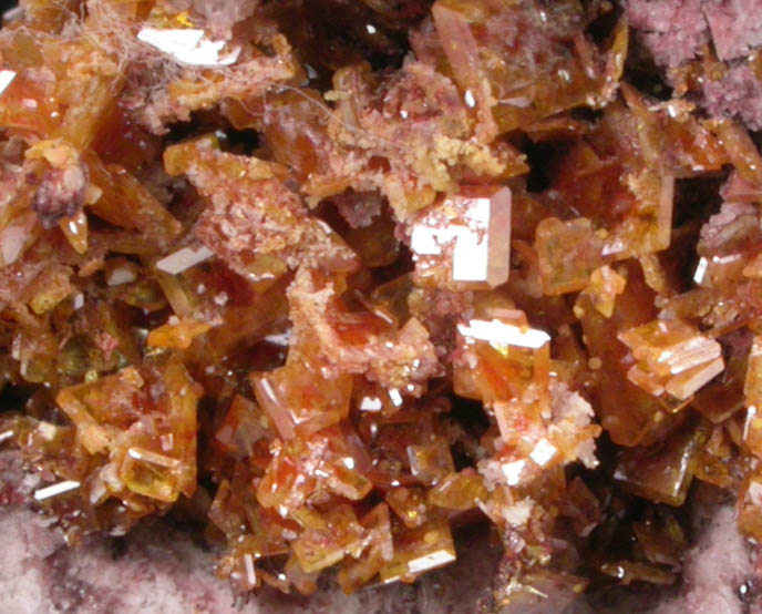 Wulfenite from Mammoth-St. Anthony Mine, Tiger District, Pinal County, Arizona