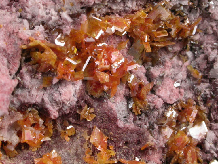 Wulfenite from Mammoth-St. Anthony Mine, Tiger District, Pinal County, Arizona