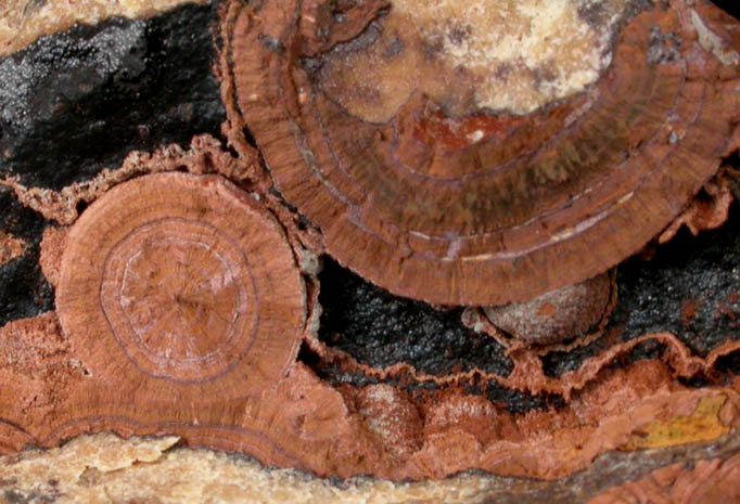 Dufrenite with Goethite from Indian Mountain, Cherokee County, Alabama