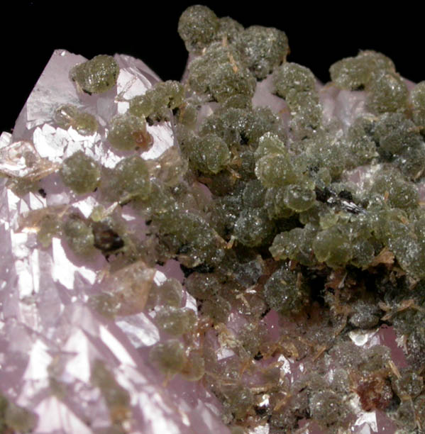 Zanazziite and Eosphorite on Rose Quartz over Smoky Quartz from Lavra da Ilha, Taquaral, Jequitinhonha River, Minas Gerais, Brazil (Type Locality for Zanazziite)