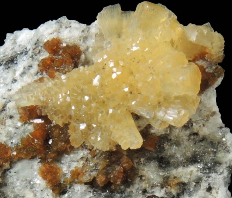 Stilbite and Chabazite from Martin Marietta Aggregates Quarry, Woodleaf, Rowan County, North Carolina