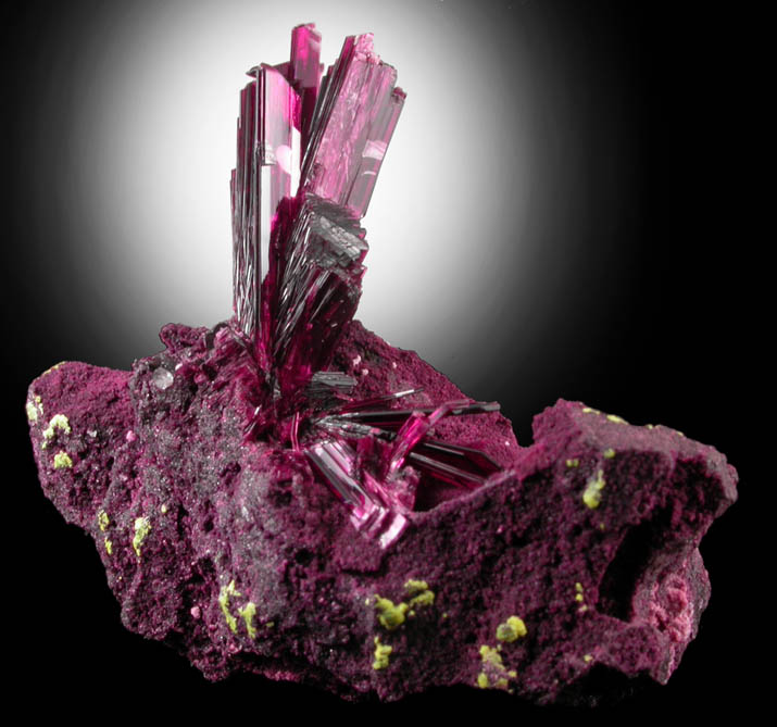 Erythrite from Bou Azzer District, Anti-Atlas Mountains, Tazenakht, Ouarzazate, Morocco (Type Locality for Erythrite)