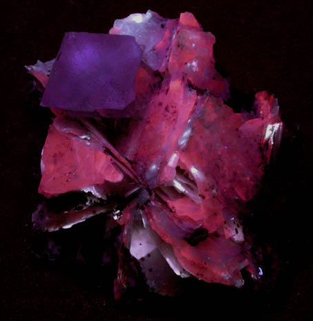 Fluorite with Hedenbergite and Calcite from Huanggang Mine, Kshktng Q, Chifeng, Inner Mongolia, China