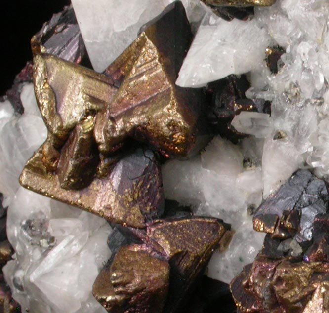 Chalcopyrite and Quartz in Calcite from San Antonio el Grande Mine, Santa Eulalia, Aquiles Serdán, Chihuahua, Mexico