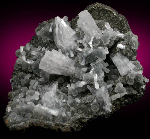 Heulandite and Stilbite on Quartz from Mumbai (Bombay) District, Maharashtra, India