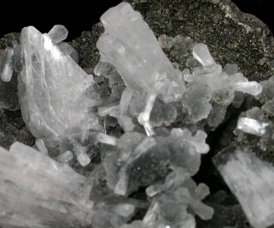 Heulandite and Stilbite on Quartz from Mumbai (Bombay) District, Maharashtra, India