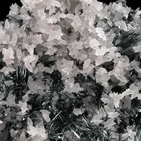 Stibnite with Calcite from Herja Mine (Kisbanya), Baia Mare, Maramures, Romania