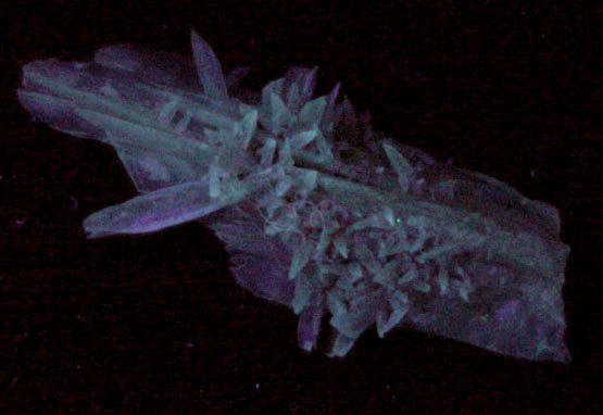 Calcite var. Cactus Calcite from Yerington, Lyon County, Nevada