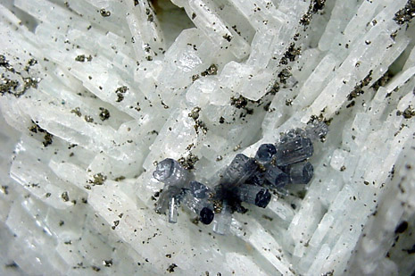 Elbaite Tourmaline and Pyrite on Albite var. Cleavelandite from Sao Jose do Safira, Minad Gerais, Brazil