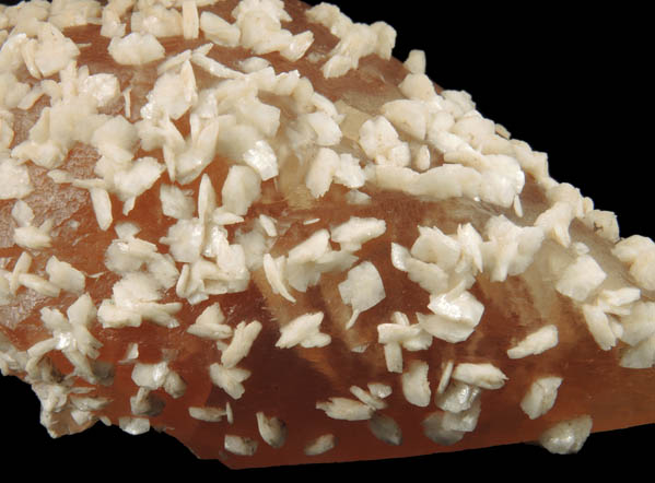 Calcite with Barite from Pugh Quarry, 6 km NNW of Custar, Wood County, Ohio