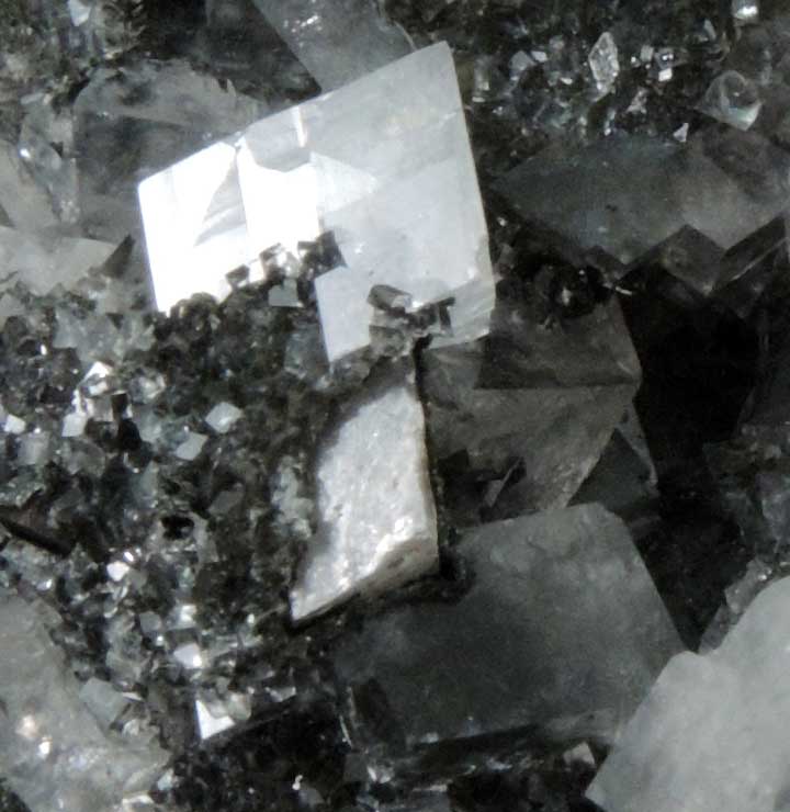 Calcite with phantom-growth zoning of Mottramite inclusions over Duftite from Tsumeb Mine, Otavi-Bergland District, Oshikoto, Namibia (Type Locality for Duftite)