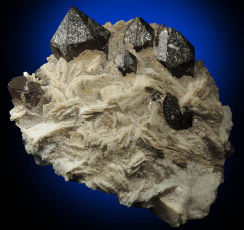 Quartz var. Smoky Quartz on Albite with Muscovite from Moat Mountain, west of North Conway, Carroll County, New Hampshire