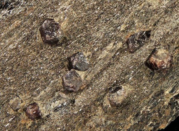 Almandine Garnet from Dundee Falls, Gorham, Cumberland County, Maine