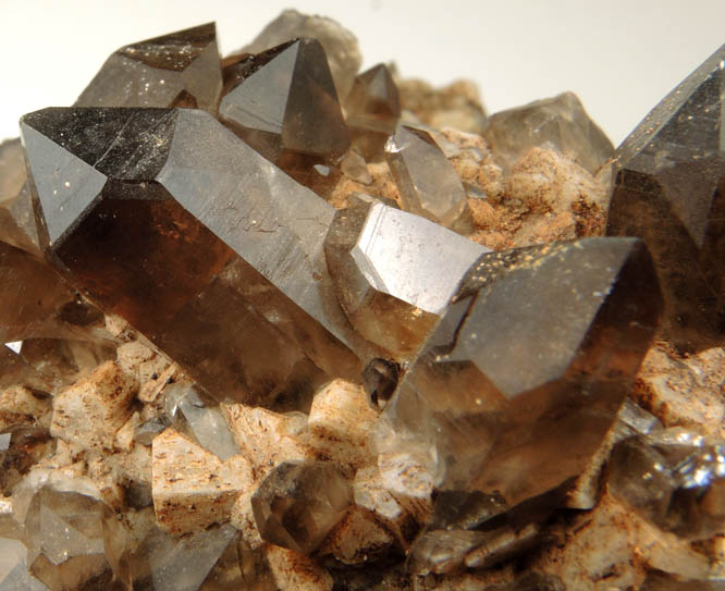 Quartz var. Smoky Quartz (Dauphin-law twins) on Microcline from Moat Mountain, west of North Conway, Carroll County, New Hampshire