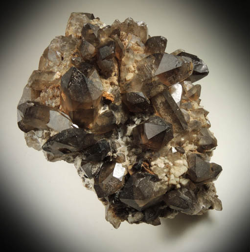 Quartz var. Smoky Quartz (Dauphin-law twins) on Microcline from Moat Mountain, west of North Conway, Carroll County, New Hampshire