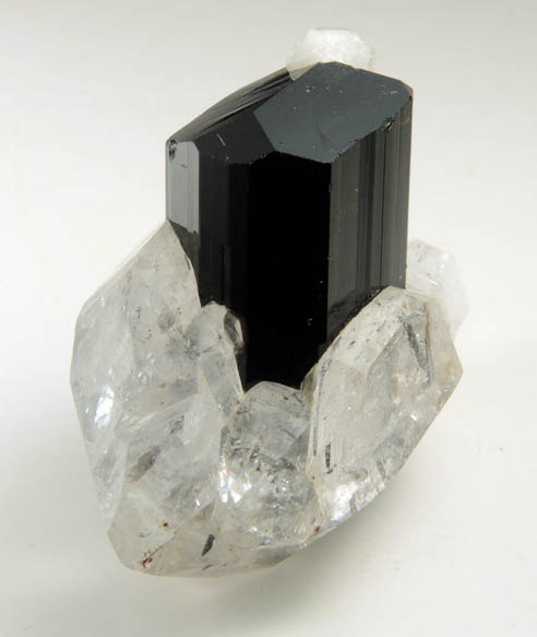 Schorl Tourmaline with Quartz and Albite from Minas Gerais, Brazil