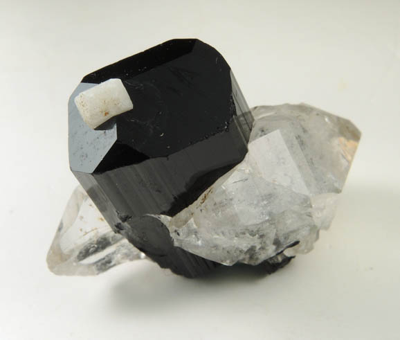 Schorl Tourmaline with Quartz and Albite from Minas Gerais, Brazil