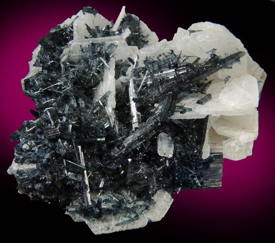 Elbaite Tourmaline on Albite var. Cleavelandite and Muscovite from Escondido Mine, Conselheiro Peña, Minas Gerais, Brazil