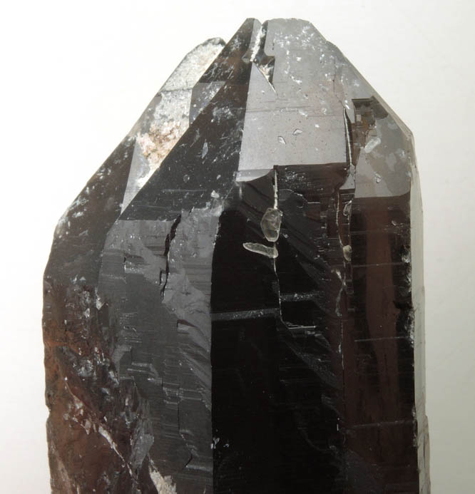 Quartz var. Smoky Quartz (Dauphin Law Twins) from Moat Mountain, west of North Conway, Carroll County, New Hampshire