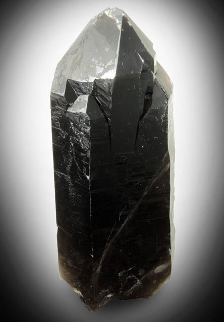 Quartz var. Smoky Quartz (Dauphin-law twin) from Moat Mountain, west of North Conway, Carroll County, New Hampshire