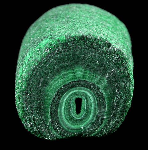 Malachite stalactite from Kambove Mining District, 130 km NW of Lubumbashi, Katanga Copperbelt, Lualaba Province, Democratic Republic of the Congo