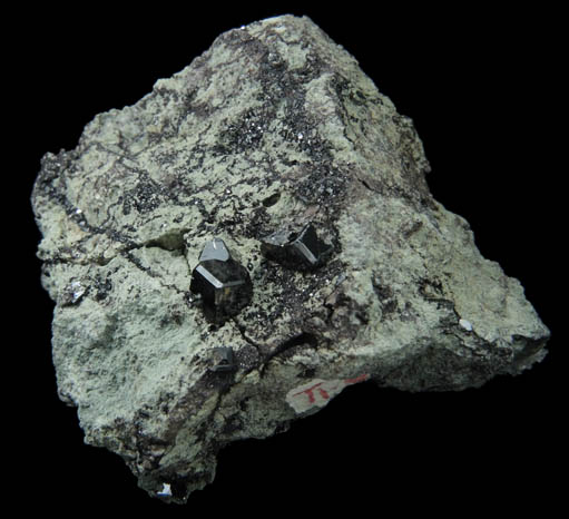 Perovskite and Andradite var. Melanite Garnet with Clinochlore from New Idria District, San Benito County, California