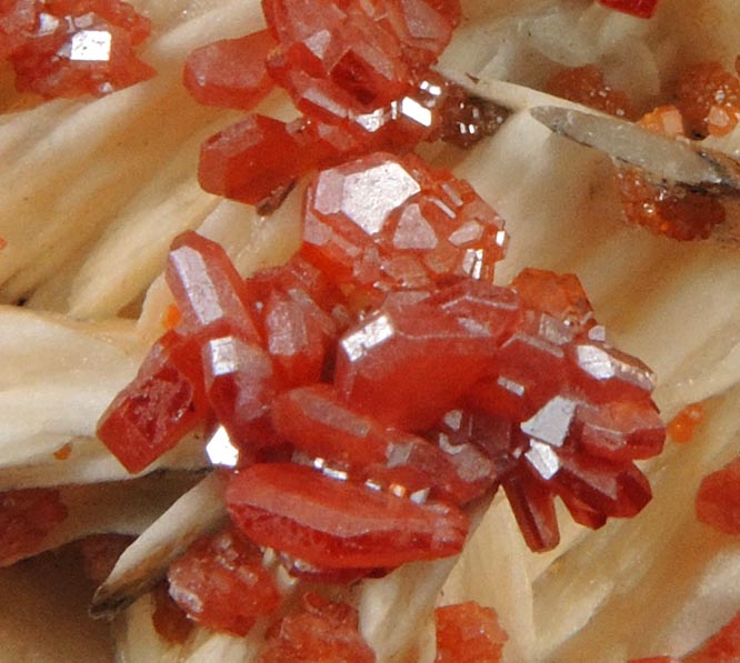 Vanadinite on Barite from Mibladen, Haute Moulouya Basin, Zeida-Aouli-Mibladen belt, Midelt Province, Morocco