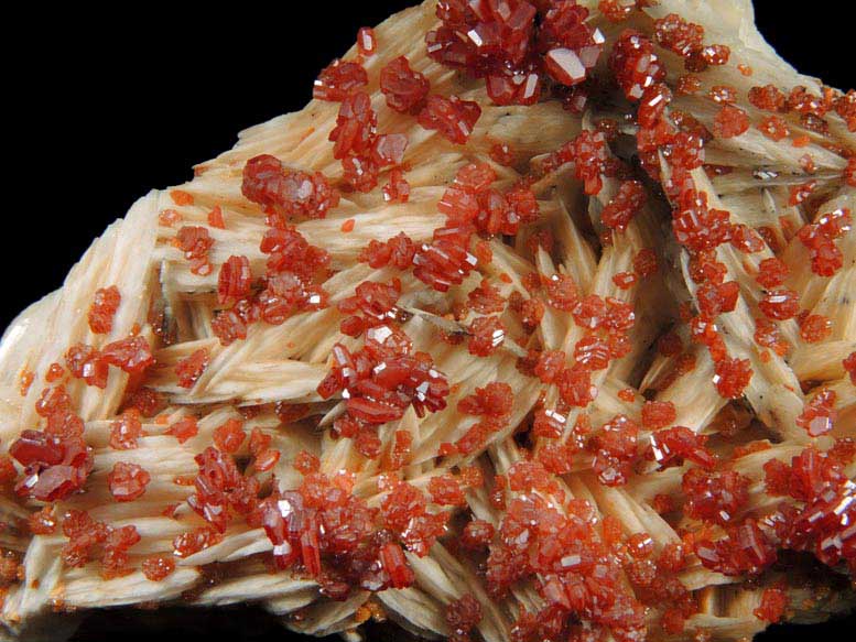 Vanadinite on Barite from Mibladen, Haute Moulouya Basin, Zeida-Aouli-Mibladen belt, Midelt Province, Morocco