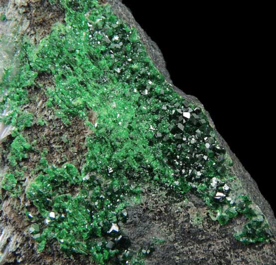 Uvarovite Garnet from Saranovskoye Mine, Sarany, Permskaya Oblast', Ural Mountains, Russia (Type Locality for Uvarovite)