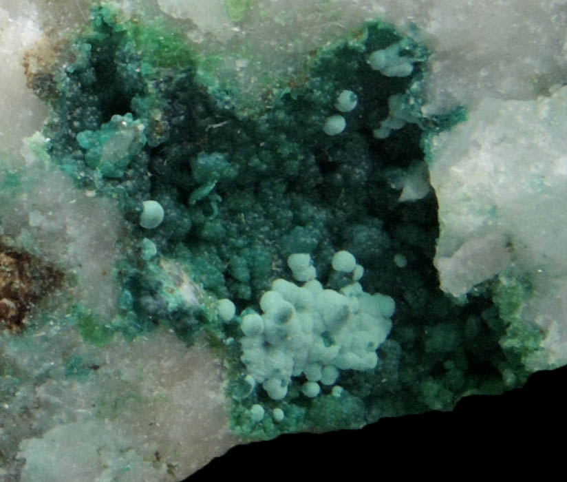 Connellite, Conichalcite, Quartz from Gold Hill Mine, Toole County, Utah