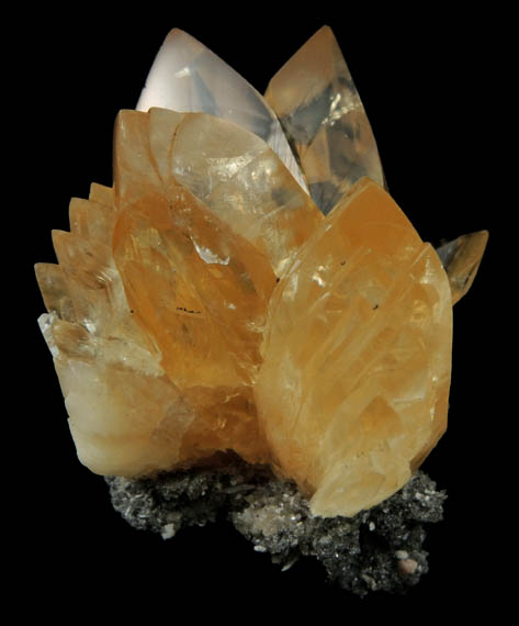 Calcite from Ruck's Pit Quarry, Fort Drum, Okeechobee County, Florida