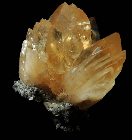 Calcite from Ruck's Pit Quarry, Fort Drum, Okeechobee County, Florida