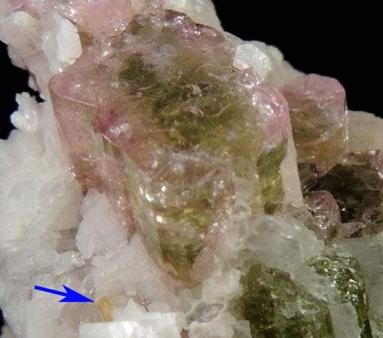 Microlite on Elbaite with Muscovite from Minas Gerais, Brazil