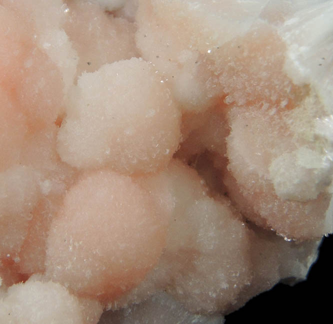 Pectolite (pink) from State Pit, Millington Quarry, Bernards Township, Somerset County, New Jersey