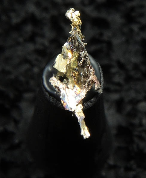 Gold from Grass Valley District, Nevada County, California