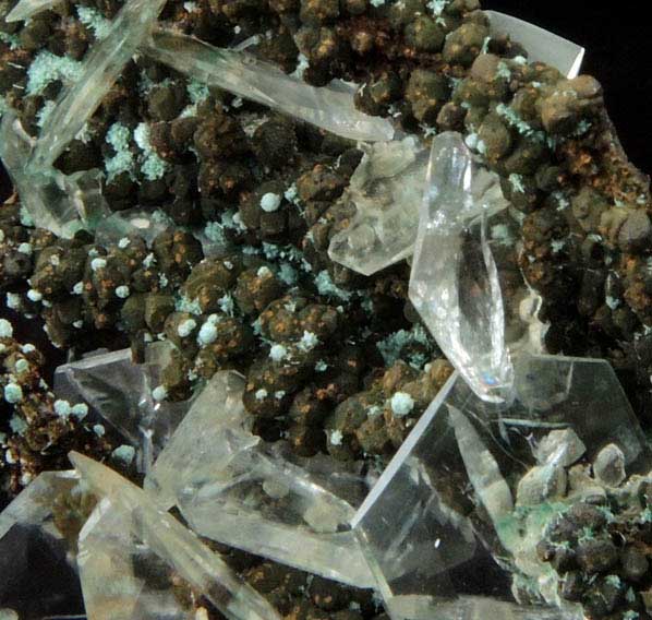 Calcite on stalactitic Limonite with Rosasite from Mina Ojuela, Mapimi, Durango, Mexico