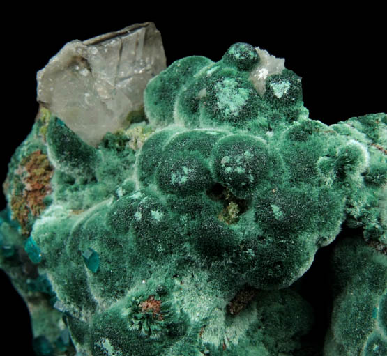 Dioptase on Malachite with Cerussite from Tsumeb Mine, Otavi-Bergland District, Oshikoto, Namibia