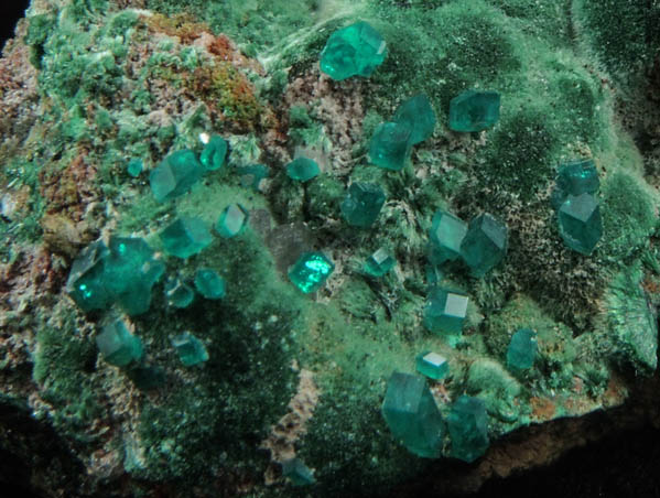 Dioptase on Malachite with Cerussite from Tsumeb Mine, Otavi-Bergland District, Oshikoto, Namibia