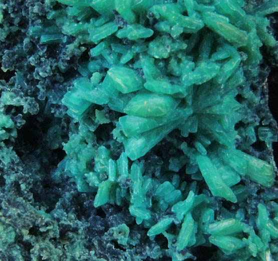 Chrysocolla pseudomorphs after Hemimorphite from 79 Mine, Banner District, near Hayden, Gila County, Arizona