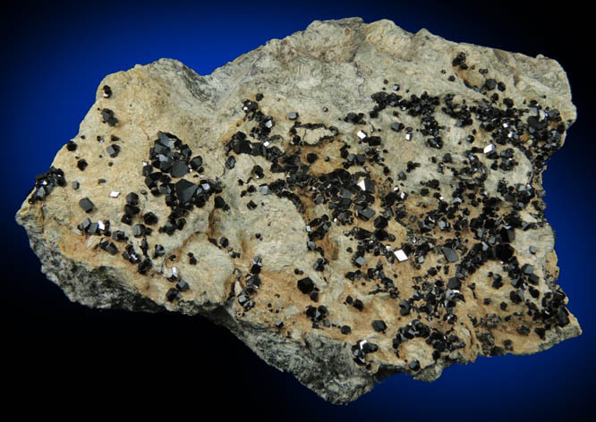 Andradite var. Melanite Garnet from New Idria District, San Benito County, California