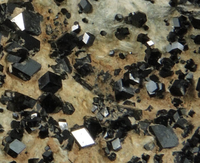 Andradite var. Melanite Garnet from New Idria District, San Benito County, California