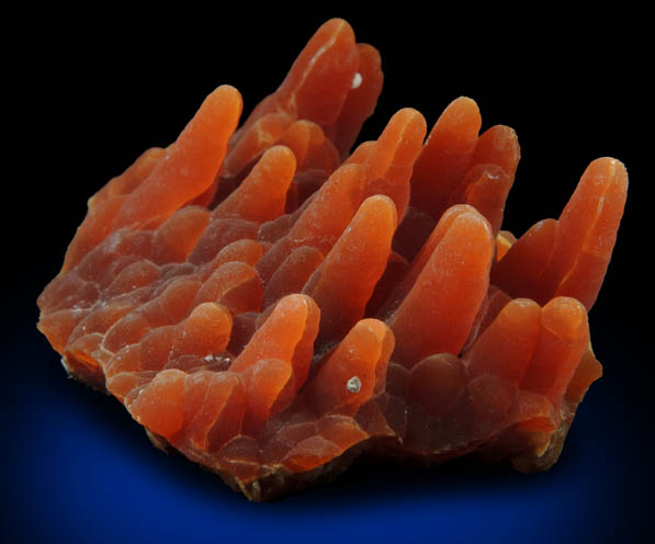 Calcite (stalactitic) from Bud Ehrle Locality, near Miles City, Carter County, Montana