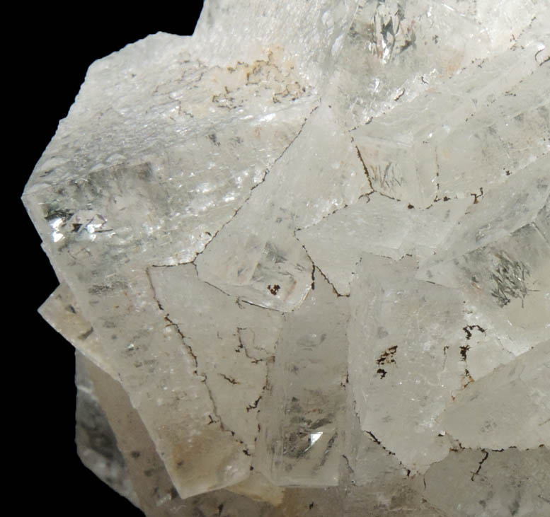 Fluorite with Marcasite inclusions from East Faircloth Vein, Mundy's Landing, eastern shore of the Kentucky River, 12 km NE of Harrodsburg, Woodford County, Kentucky