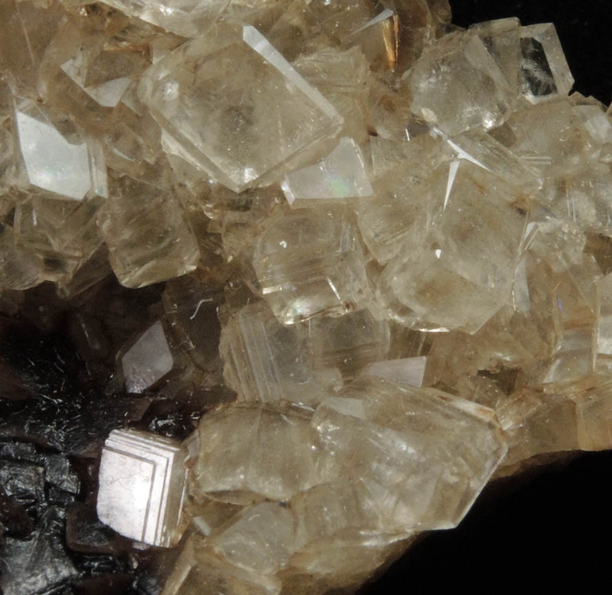 Calcite with Bitumen from Kentucky Stone Quarry, Flemingsburg, Fleming County, Kentucky